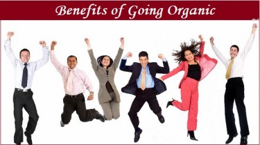 Benefits of Going Organic